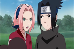 Sakura Haruno, Animated Character Database