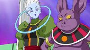 Dragonball Super Tournament (239)