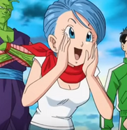 28bulma