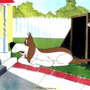 191223-138954-barnyard-dawg.jpg