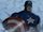 Steve Rogers(Captain America) (Earth-3488)