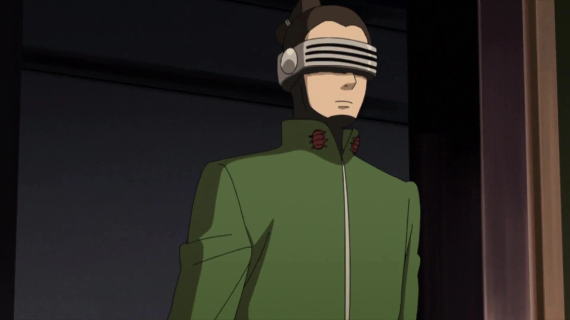 Shino Aburame | Animated Character Database | Fandom