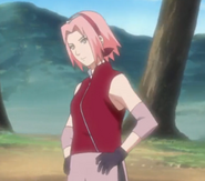 27sakura