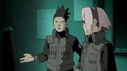 Naruto-shippden-episode-dub-444-0475 27655214627 o