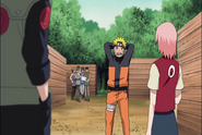 Naruto Shippudden 181 (30671399)