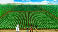 Super-49-100 26810063027 o.png (775 KB)