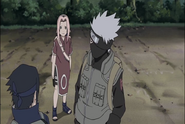 Naruto Shippudden 181 (68)