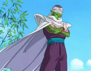 Piccolo.png