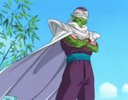 Piccolo