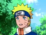 Naruto Namikaze