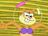 Sandy Cheeks
