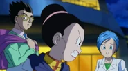 Dbs-6216308 41472166025 o.png (444 KB)