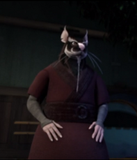 Splinter