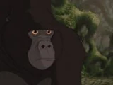 Kerchak