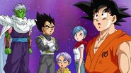 Dragonball Super Tournament (14)