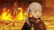 Black-clover-2213019 40414116410 o