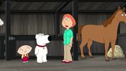 Family Guy 14 (145)
