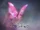 Hypnosis Butterfly