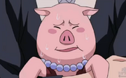 60t.png