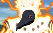 Crow.png