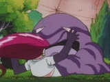 Ash's Muk