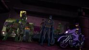 Batman vs TMNT 3633