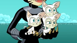 Katnappé's Kittens | Xiaolinpedia | Fandom