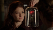 5x01 Belle rose