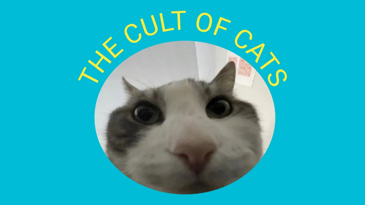 Orders of the Cats Hoboverse Fandom