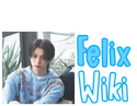 Felix Wiki wordmark
