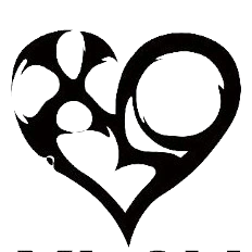 I’mma Be | XLOV Wiki | Fandom