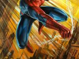 Homem-Aranha (Peter Parker) (Terra-616)
