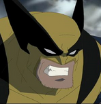 Hulk vs. Wolverine Animated Film (2009)