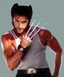 Logan - Wolverine (Hugh Jackman)