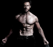 Wolverine2013