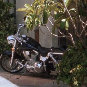 cyclops bike trailer