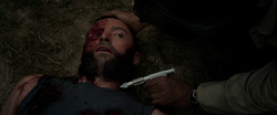 X 24 X Men Movies Wiki Fandom