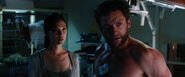 The-wolverine-6852