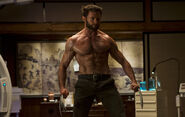 Thewolverine6