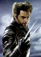 Wolverine.JPG-1-