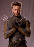 WolverineCostume