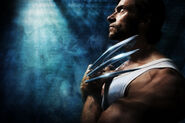 New Wolverine Image