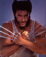 Wolverport