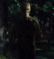 Vuk arrives on Earth