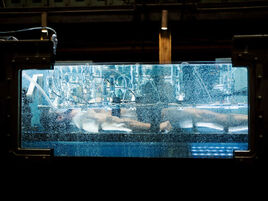 Wolverine-in-tank-5130x34