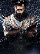 Wolverine 09