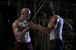 Deadpool vs logan