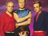 A Flock of Seagulls