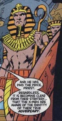 The Priest of the sect.