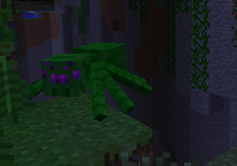 Jungle SpiderI